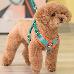 Vall Dog Leash Small Dog Teddy Bibbo Strap Pet Puppy Dog Leash Dog Chain